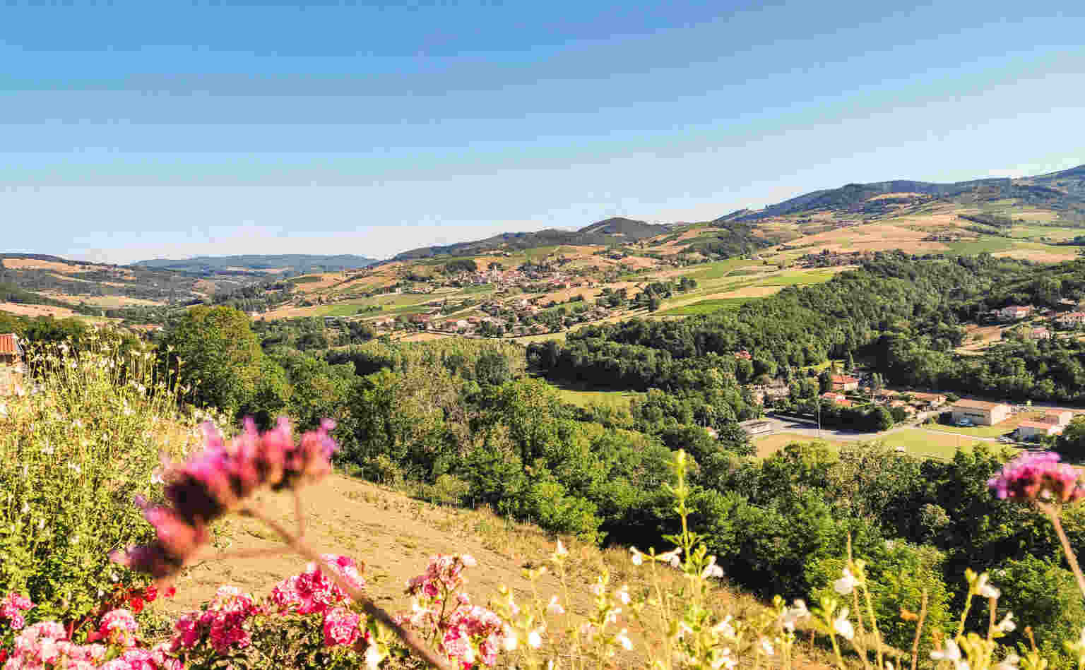 Tournée de Beaujolais Rando