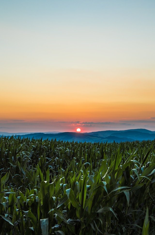 La Grande Traversée des Monts du Lyonnais