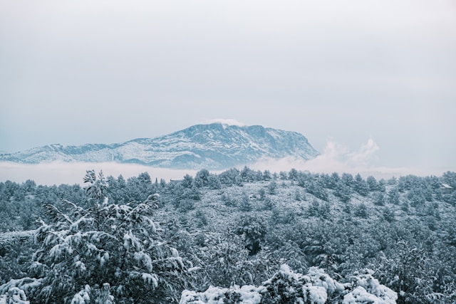 Tour de la montagne Sainte-Victoire